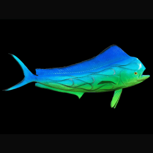 Marine wall sculpture Electric Mahi