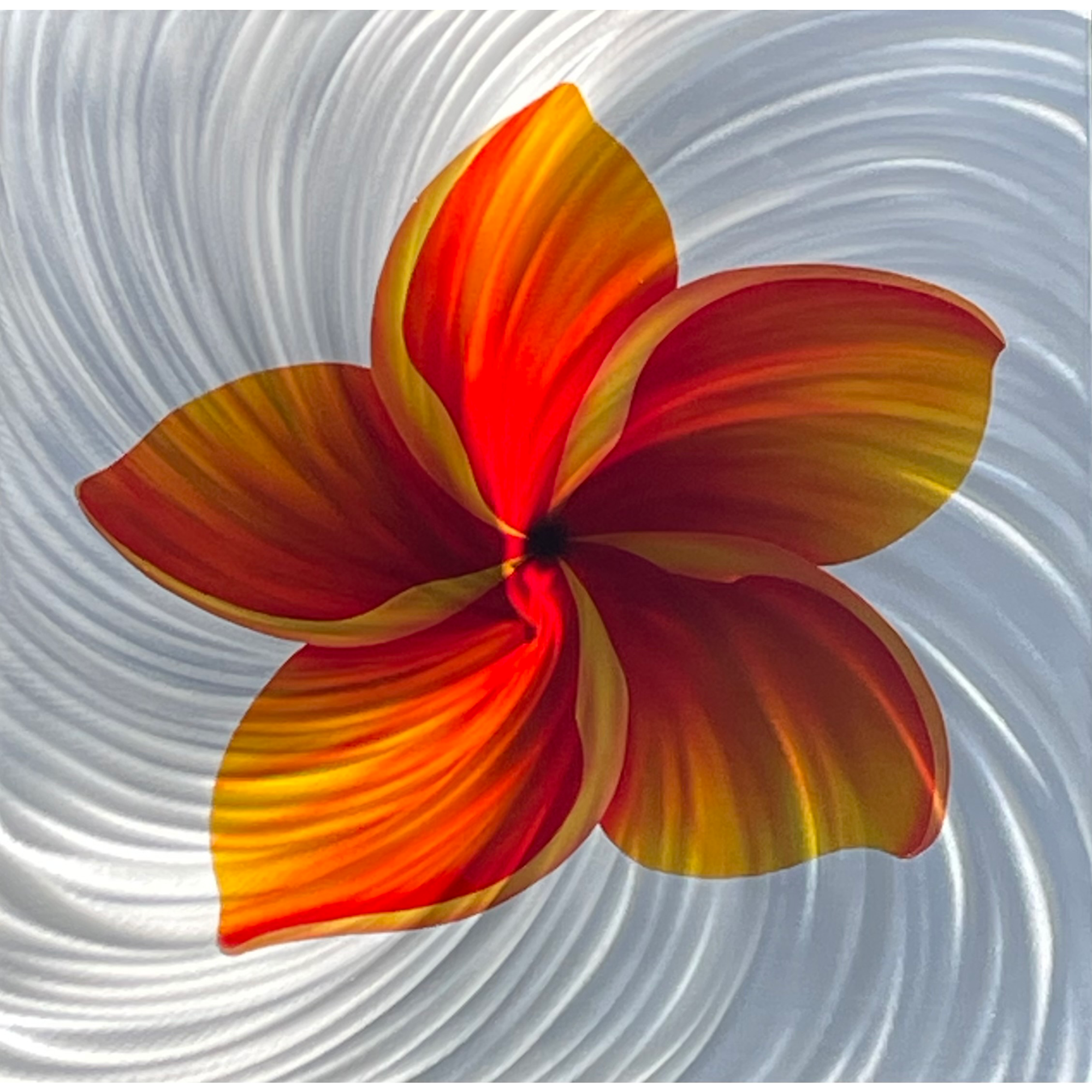 Plumeria Metal Wall Art – Hawaiian Flower Aluminum Panels | 24x24